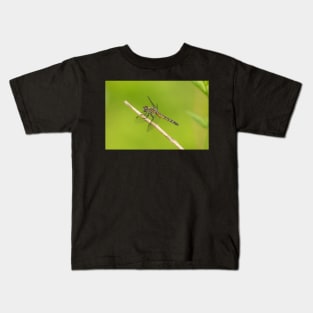 Fly Dragon Kids T-Shirt